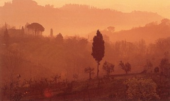Weinverkostungen Chianti, WeinreisenToskana
