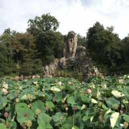 gigante-parco-di-pratolino