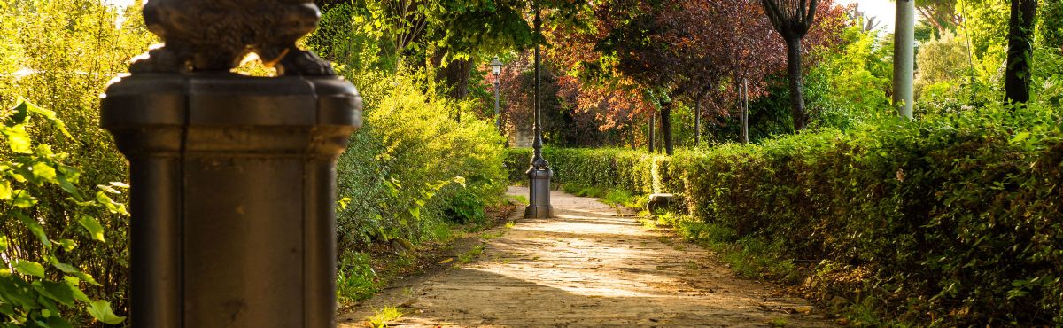 Firenze trekking urbano