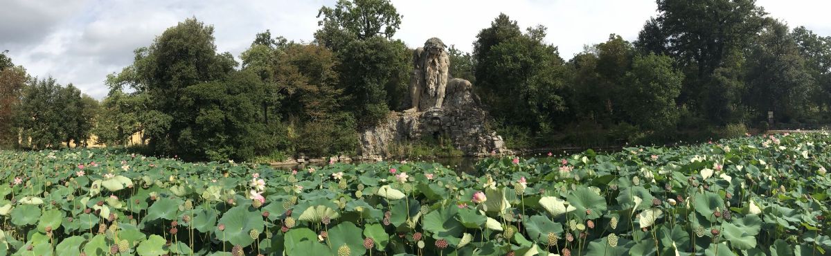 gigante parco di pratolino