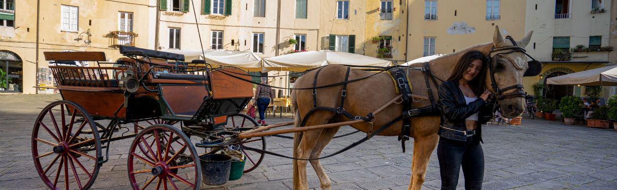 lucca in carrozza